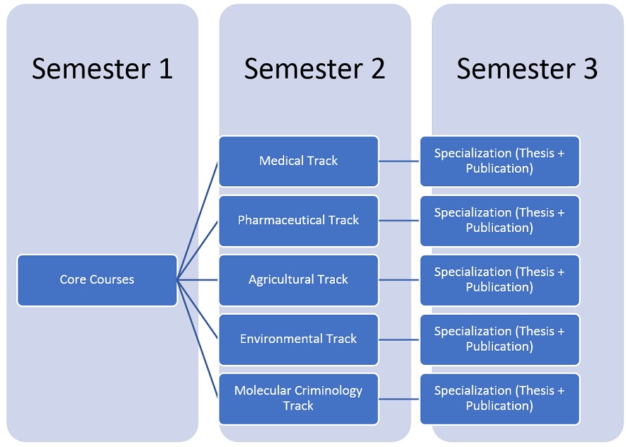 MSA University - MSc in biotechnology schematic diagram