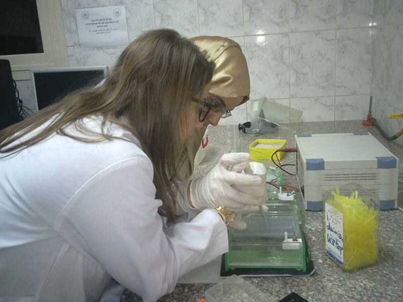 Biotechnology students at the Researches Complex of Cairo University