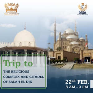 The Religious Complex & Citadel of Salah El Din trip