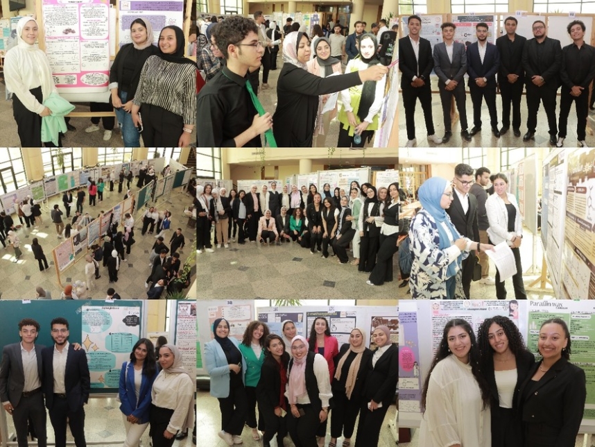 Pharmacy Students Shine at Organic Chemistry Fair